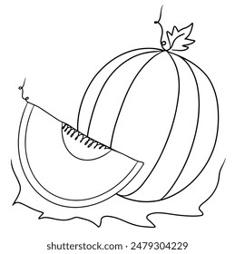 Continuous line drawing fruit of Cantaloupe melon. Vector illustration.