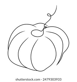 Continuous line drawing fruit of gooseberry. Vector illustration.