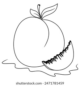 Continuous line drawing fruit of peach. Vector illustration.