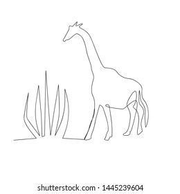 continuous line drawing of giraffe animal. isolated sketch drawing of giraffe animal line concept. outline thin stroke vector illustration