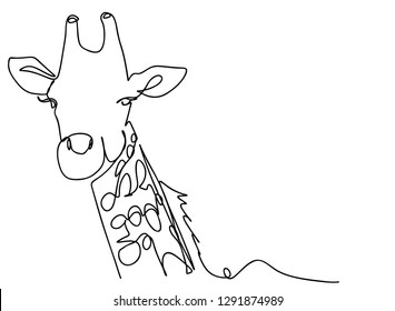 continuous line drawing of a giraffe wildlife illustration, simple lines.