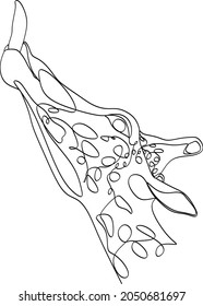 continuous line drawing of giraffe wildlife vector illustration