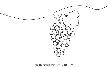 Continuous line drawing grape fruit. Healthy food natural organic concept. Vector illustration editable stroke.