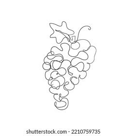 continuous line drawing grapes illustration vector