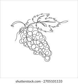 Vector de ilustración de uvas de dibujo de línea continua
