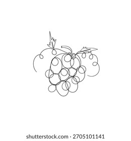 Vector de ilustración de uvas de dibujo de línea continua
