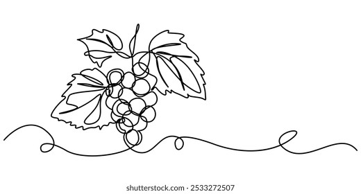 Dibujo de línea continua de uvas sobre un fondo transparente, Ilustración vectorial de uva aislada sobre fondo blanco. Para niños libro de colorear, uvas de bodega icono de línea delgada en un transparente