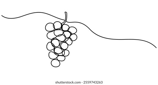 Continuous Line Drawing Of Grapes On A Transparent background, One line drawing grape fruits. Single outline organic nature food, Grape drawn in one continuous line. One line drawing, minimalism. 