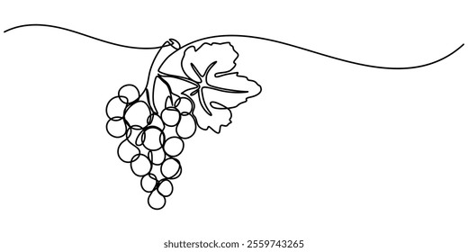 Continuous Line Drawing Of Grapes On A Transparent background, One line drawing grape fruits. Single outline organic nature food, Grape drawn in one continuous line. One line drawing, minimalism. 