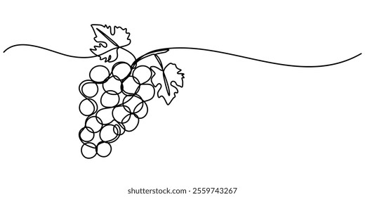 Continuous Line Drawing Of Grapes On A Transparent background, One line drawing grape fruits. Single outline organic nature food, Grape drawn in one continuous line. One line drawing, minimalism. 