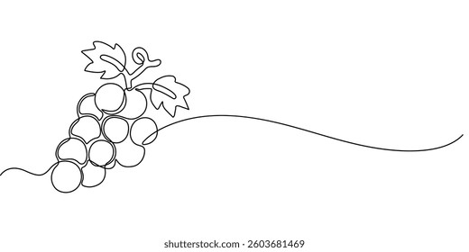 Continuous Line Drawing Of Grapes On A Transparent background, Vector illustration of grape isolated on white background. For kids coloring book, Winery Grapes Thin Line Icon On A Transparent.