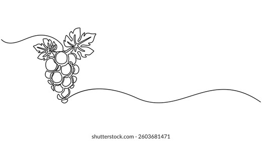  Continuous Line Drawing Of Grapes On A Transparent background, Vector illustration of grape isolated on white background. For kids coloring book, Winery Grapes Thin Line Icon On A Transparent.