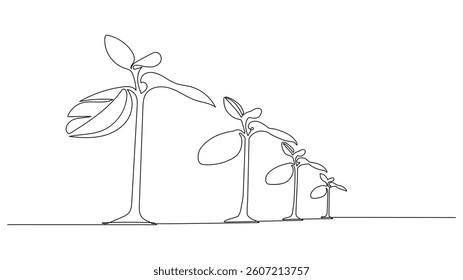Continuous Line Drawing of Growing Plants