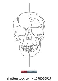 Continuous line drawing of hand drawn skull. Vector illustration. Element for you design works.