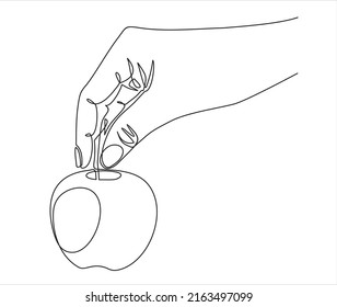 continuous line drawing of hand holding apple