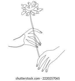 Continuous line drawing of hand holding flower. Woman's hand with flowers isolated on a white background. Give a sign of love to someone. Minimalist style. Vector sketch illustration