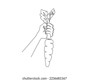 Continuous line drawing of hand holding carrot. Carrot simple line art can be use for agricultural, farming , organic food and vegan concept.