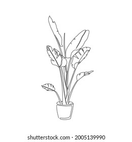 continuous line drawing of hand Tropical plant in pot. Tropical flower lineart with editable stroke. 
