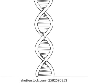 continuous line drawing of helix DNA. Minimalist concept of medical and science biotechnology in simple linear style. Human genome structure in editable stroke. Doodle vector illustration