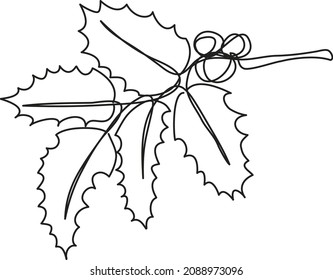 Continuous line drawing of holy berries.