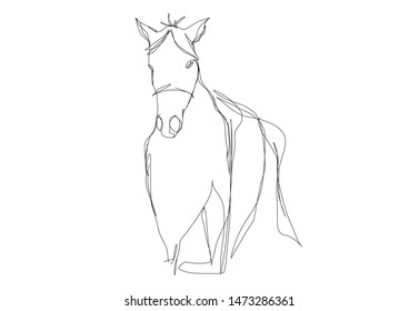 continuous line drawing of horse