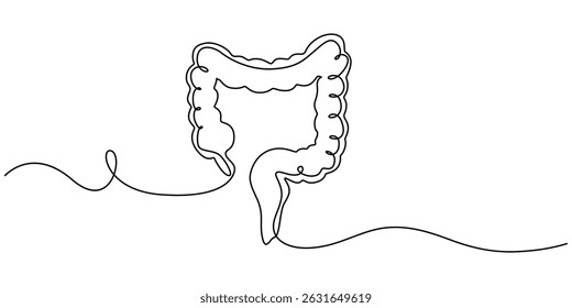 Continuous line drawing of human colon. Single line illustration of human colon organ. Human anatomy concept. Editable outline, Human intestine, conceptual illustration