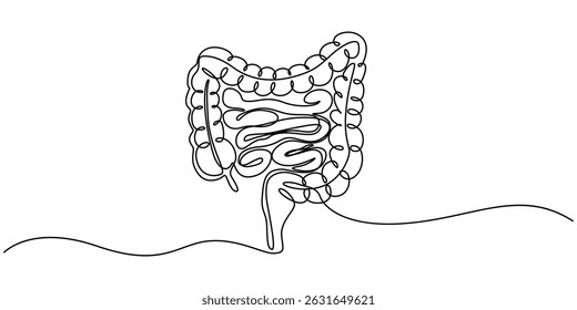 Continuous line drawing of human colon. Single line illustration of human colon organ. Human anatomy concept. Editable outline, Human intestine, conceptual illustration