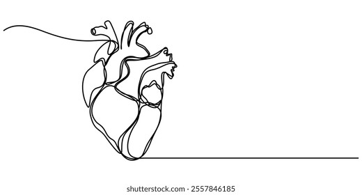 Continuous Line Drawing of Human Heart Icon. Hand Drawn Symbol Vector Illustration, Human Heart Single Line Icon, Continuous one line art anatomical human heart silhouette. Healthy medicine concept.