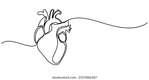 Continuous Line Drawing of Human Heart Icon. Hand Drawn Symbol Vector Illustration, Human Heart Single Line Icon, Continuous one line art anatomical human heart silhouette. Healthy medicine concept.