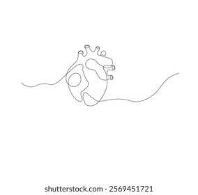 continuous line drawing of human heart organ on white background. Thin line illustration in minimalist style. Heart health concept