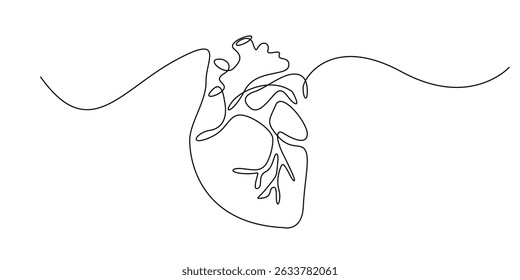 Dibujo de línea continua del corazón humano. Dibujo de una línea del órgano de circulación sanguínea del corazón humano. Ilustración vectorial de arte de línea