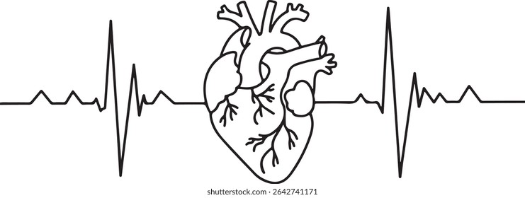 Continuous line drawing of human heart with EKG waveform in minimalist medical diagram style on white background

