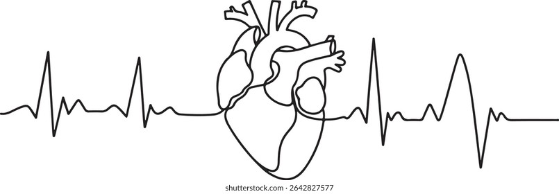  Continuous line drawing of human heart with EKG waveform in minimalist medical diagram style on white background