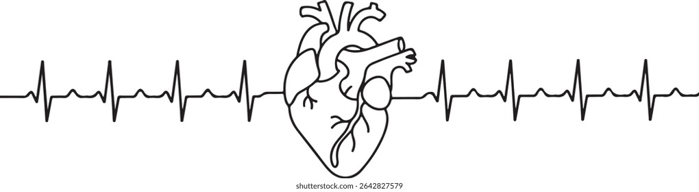  Continuous line drawing of human heart with EKG waveform in minimalist medical diagram style on white background