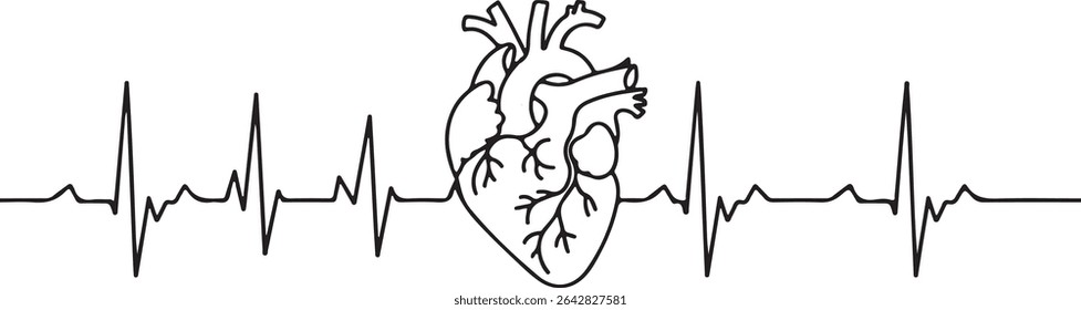  Continuous line drawing of human heart with EKG waveform in minimalist medical diagram style on white background