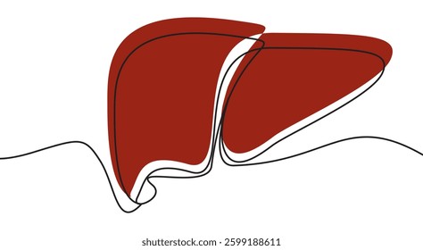 Continuous line drawing of human liver in vector illustration of red color.