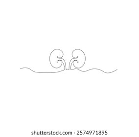 Continuous line drawing of the human organ kidney in one line with a frame on a white background. Abstract vector illustrator