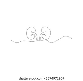 Continuous line drawing of the human organ kidney in one line with a frame on a white background. Abstract vector illustrator