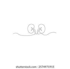 Continuous line drawing of the human organ kidney in one line with a frame on a white background. Abstract vector illustrator