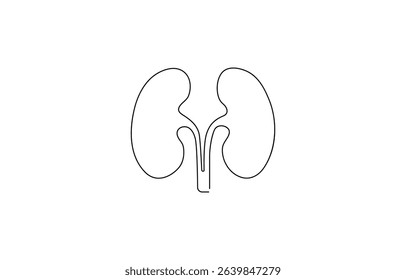 Continuous line drawing of the human organ kidney in one line with,  single line drawing of kidney. editable stroke.