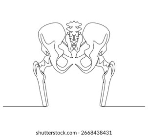 Continuous line drawing of Human Pelvis. Single line illustration of Human Pelvis. Illustration, Medical Concept. Editable outline