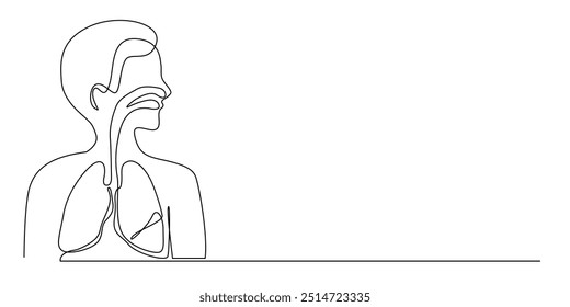 desenho em linha contínua do sistema respiratório humano.desenho em linha dos órgãos respiratórios humanos nariz aos pulmões.ilustração vetor de linha única da anatomia médica.linhas minimalistas.eps 10