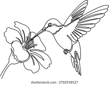 Desenho de linha contínua de um beija-flor extraindo néctar de uma flor animal mínimo e ilustração da natureza esboço linear.