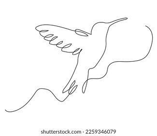 Continuous line drawing of a hummingbird, illustration of a little bird on isolated background.