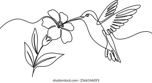 Continuous line drawing. Drawing of hummingbirds on flowers isolated on a white background. Minimalist design handdrawn. Vector illustration isolated.