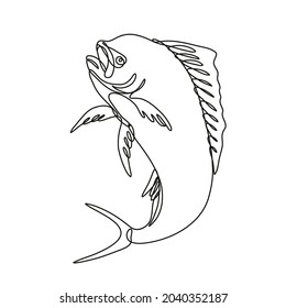 Continuous line drawing illustration of a dorado dolphin fish or mahi mahi Jumping Up done in mono line or doodle style in black and white on isolated background.