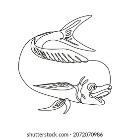 Continuous line drawing illustration of a dorado dolphin fish or mahi mahi jumping down done in mono line or doodle style in black and white on isolated background.