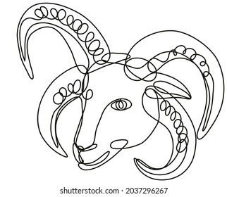 Continuous line drawing illustration of a head of Manx Loaghtan sheep done in mono line or doodle style in black and white on isolated background.