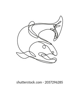 Continuous line drawing illustration of a lake trout jumping down done in mono line or doodle style in black and white on isolated background.