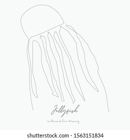 continuous line drawing. jellyfish. simple vector illustration. jellyfish concept hand drawing sketch line.